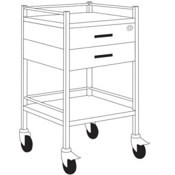 Trolley Stainless Steel - 2 Drawer with Lock - 50 x 50 x 90cm