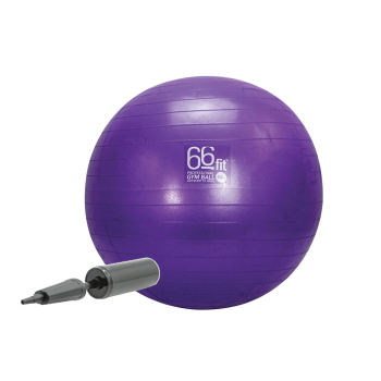 Exercise Ball 55cm Purple