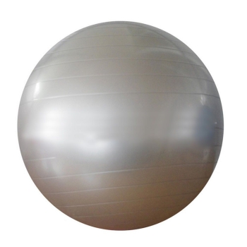 Exercise Ball 60cm - Silver