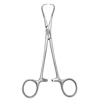 Towel Clip Backhaus Standard 14cm Armo