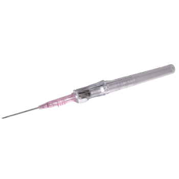 BD Insyte Autoguard BC Pro IV Catheter 20G x 1.88 Pink
