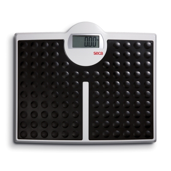 Seca SE813 High-Capacity Digital Scale 200kg